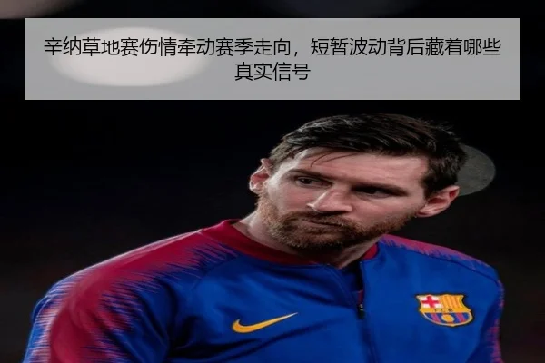 辛纳草地赛伤情牵动赛季走向，短暂波动背后藏着哪些真实信号